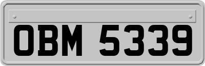 OBM5339
