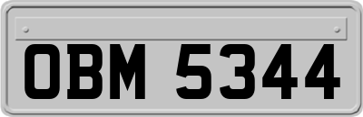 OBM5344