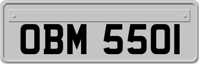OBM5501