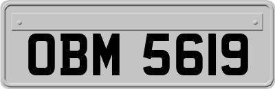 OBM5619