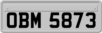 OBM5873