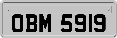 OBM5919