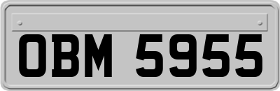 OBM5955