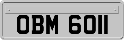 OBM6011