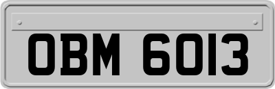 OBM6013