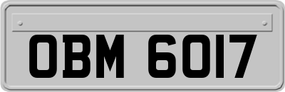 OBM6017