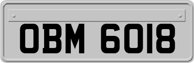 OBM6018