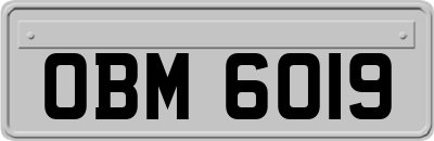OBM6019