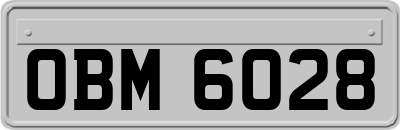 OBM6028