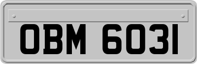 OBM6031