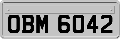 OBM6042