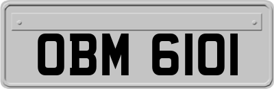 OBM6101