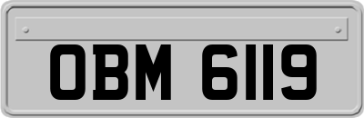 OBM6119