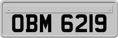 OBM6219