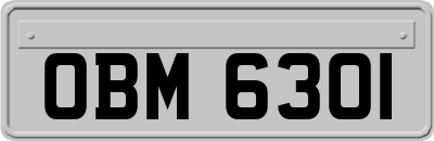 OBM6301