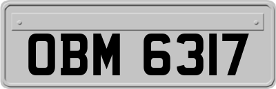 OBM6317
