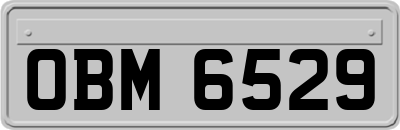 OBM6529