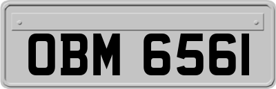 OBM6561