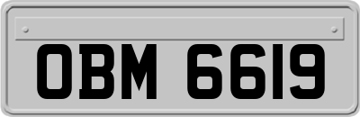 OBM6619