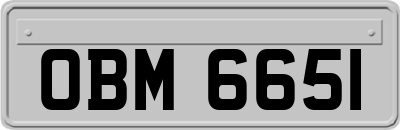 OBM6651