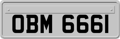 OBM6661