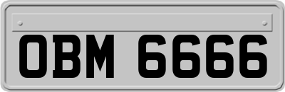 OBM6666