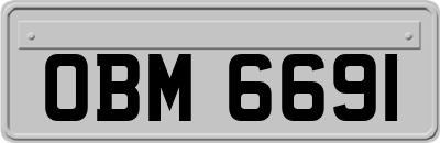 OBM6691