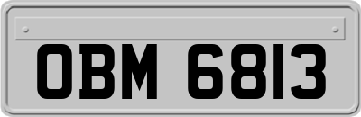 OBM6813
