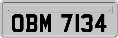 OBM7134