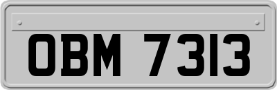 OBM7313