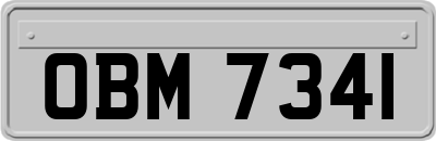 OBM7341