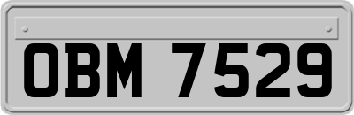 OBM7529