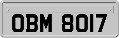 OBM8017