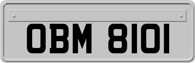 OBM8101