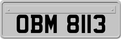 OBM8113