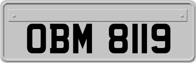 OBM8119