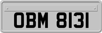 OBM8131