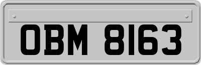 OBM8163