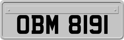 OBM8191
