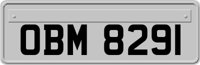 OBM8291