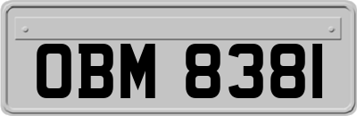 OBM8381