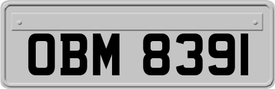 OBM8391