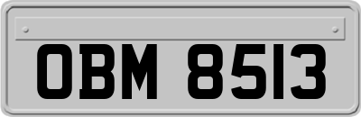 OBM8513