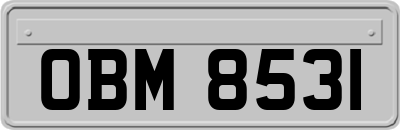 OBM8531