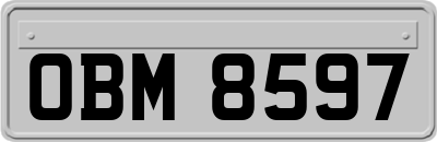 OBM8597