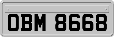 OBM8668