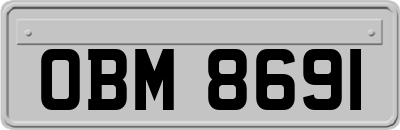 OBM8691