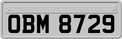 OBM8729