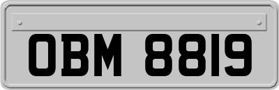 OBM8819