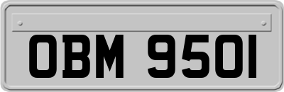 OBM9501